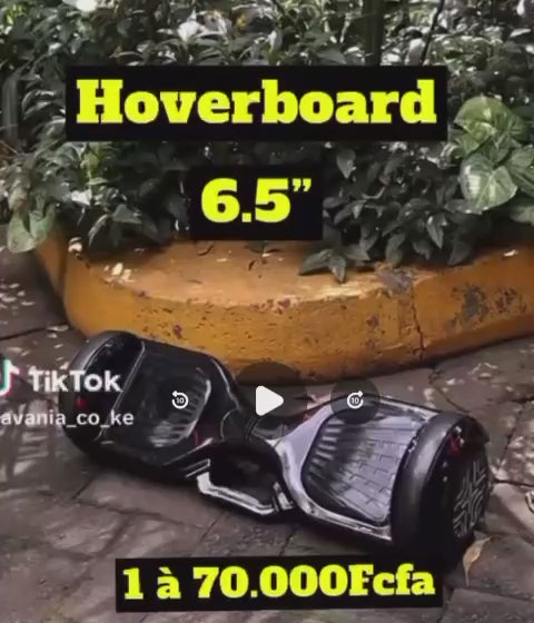 Hoverboard , certifié , moteur à double moyeu , charge 3h à 5h , utilisation 30mn à 60mn , poids jusqu'à 200kg , un chargeur d'alimentation , musique et bleuthooth connecté .